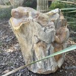 311572730_861552025254256_4453739070694243540_n