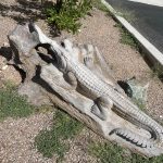 311583135_861551978587594_3145829611411926259_n