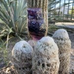 311616963_861547798588012_4081870160319030290_n