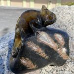 311640442_861547538588038_7570053684038995588_n